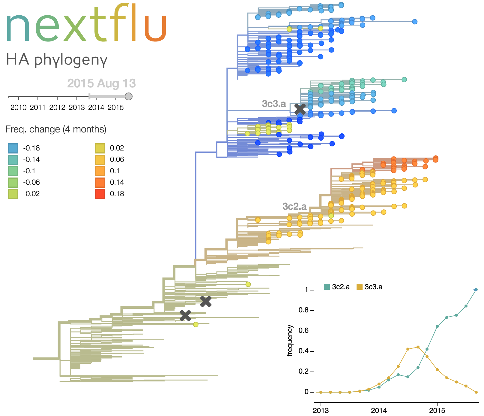 Phylogenetic analysis of influenza
