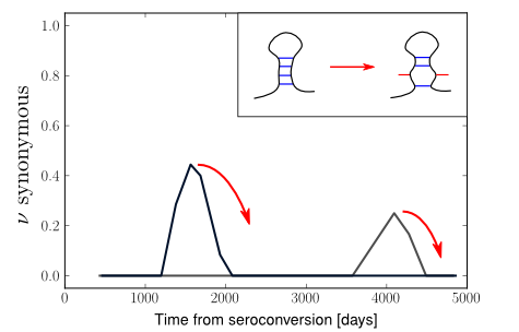 Shankarappa_allele_freqs_trajectories_syn_p10_sparse