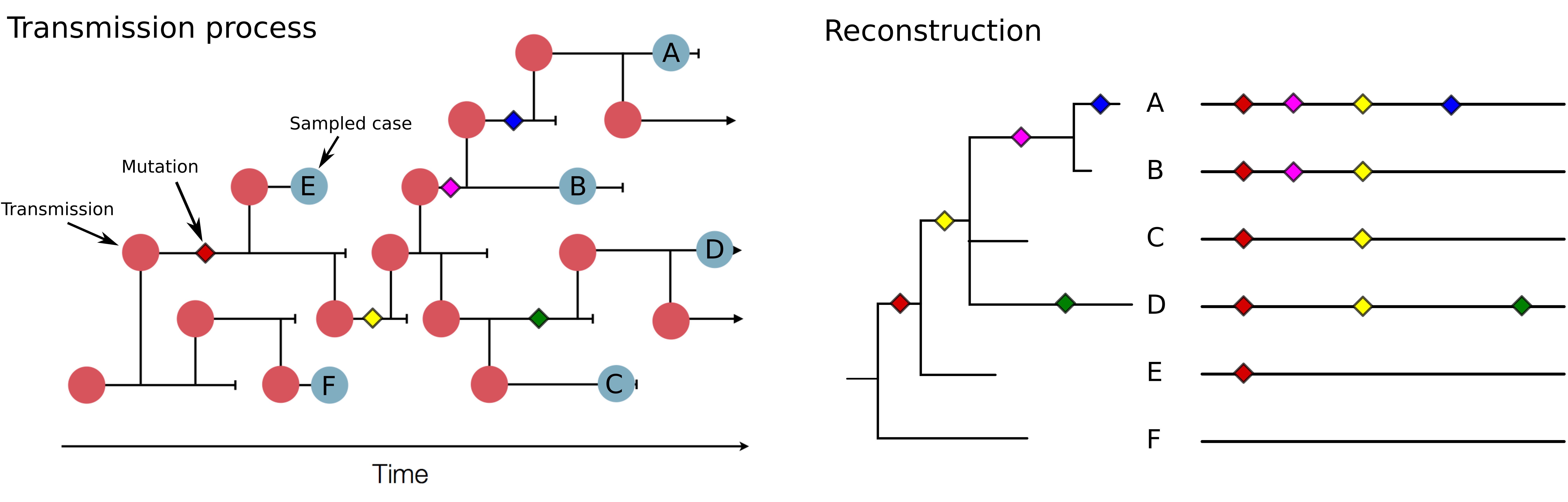 toy_tree